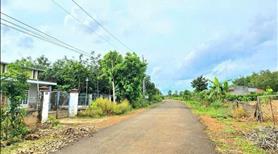 342m2 150 triệu bao sang tên công chứng cả nhà nhé. Sát KCN Long Tân TRung tâm hành chính Phú Riềng - Ảnh 4