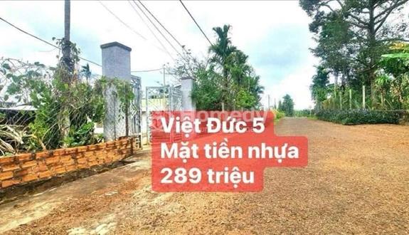 Đất mặt tiền nhựa ngay Việt Đức 5 - Ảnh 1