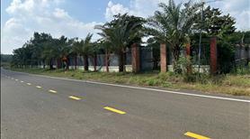 Đất sào view sông bé cực chill giá chỉ 200tr sổ sẵn công chứng ngay - Ảnh 2
