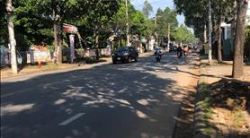 Mặt  bằng cần cho thuê đường nhựa liên tỉnh  kinh diang - Ảnh 2