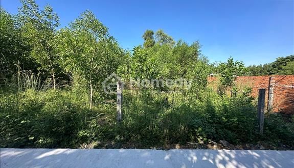 🔵5x31( 154,5m2) Hẻm Lý Nam Đế, Tân Phước, LaGi Khu Dân Cư Giá Rẻ - Ảnh 1