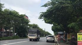 Bán nhà mp kinh doanh, vỉa hè, ô tô tránh la khê, hà đông, dt 50m2, giá gấp 5,5 tỷ - Ảnh 2
