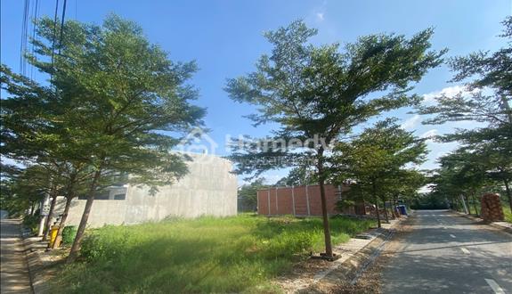 Mua đất ngay chỉ còn vài lô cuối cùng thôi ạ  - Ảnh 1