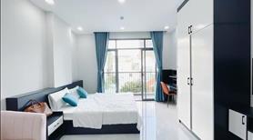 Cho thuê Căn hộ 1 Phòng ngủ Dương Bá Trạc Quận 8 Ngay Cầu Nguyên Văn Vừ - Ảnh 2