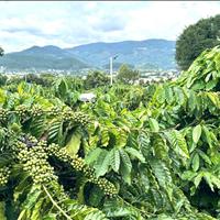 Đất nghỉ dưỡng ven Đà lạt khu Dân cư đường bêtông, view thung lũng 