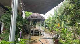 Hạ giá bán gấp nhà vườn nghĩ dưỡng - Ảnh 3