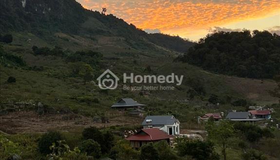 Mộc Châu: Bán cắt lỗ mảnh 5000m2 khu vực đắc địa  - Ảnh 1