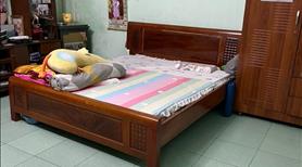 Nhà diện tích lớn đang cho thuê 10T/ Tháng - CƠ HỘI ĐẦU TƯ SINH LỜI HẤP DẪN! - Ảnh 3