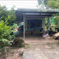 Chính chủ bán mảnh vườn cây ăn trái diện tích : 2200m2 ( có thổ cư) có nhà cấp 4 , Bình Dương