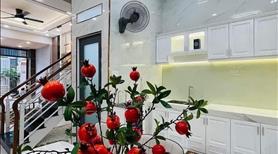 Cần bán nhà đường Lý Thái Tổ, phường 1, quận 3, giá 2 tỷ 880 triệu, sổ hồng. - Ảnh 4