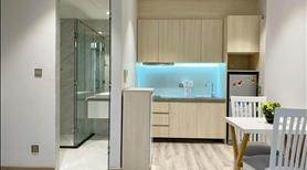 Giảm giá sâu căn studio ban công 35m2 có thang máy ngay hẻm ô tô 46 Nguyễn Cửu Vân Quận Bình Thạnh - Ảnh 6