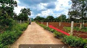 Thị Xã Buôn Hồ - 5x52 - cách ql29 100m - Ảnh 4