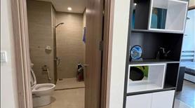 Siêu phẩm 1N + 43m2 Sapphire - Quỹ căn chính chủ từ 1N + tại Vinhomes Ocean Park - Ảnh 3