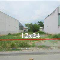 Bán đất 288m² (12x24), đường tỉnh lộ 15, phú hòa đông, củ chi – chỉ 1 tỷ 1 (tl)