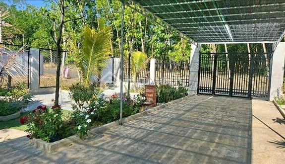 Bán 4 sào cao su non(56x78)=4.368M2 SHR đường 12m cách ql 200m Giá 265tr ,view sống ,sát trường chợ - Ảnh 1