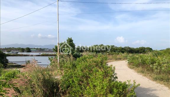 Bán đất ao nuôi trồng thuỷ sản tại vũng tàu f12  - Ảnh 1