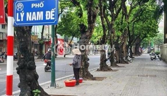 Lý Nam Đế phố sịn.Mặt ngách thông. Cách oto 10m -Hàng xóm với Giám Đốc BV Việt Đức - Ảnh 1