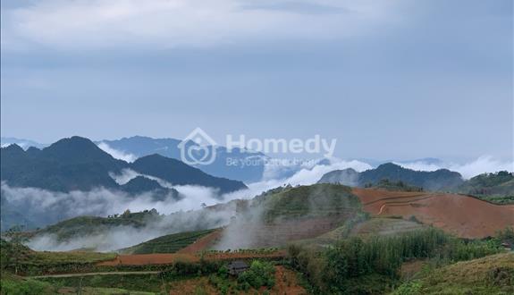 Cần bán 76.000m2 đất homestay Noong Luông, Mai Châu, Hòa Bình, giá rẻ hơn thị trường - Ảnh 1