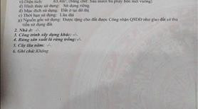 Bán đất kiệt ô tô 5m đường Nguyễn Tất Thàng,Thanh Khê, Đà Nẵng - Ảnh 2