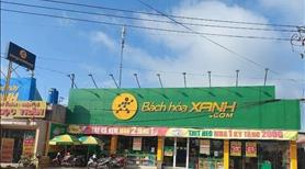 Bán 5 sào caosu (20x150 = 4.968m2)SHR, nở hậu 92m cách QL 200m giá 750tr, view sông, sát KCN 350ha - Ảnh 7