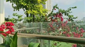 Bán căn hộ chung cư Mỹ đình plaza 2 nguyễn hoàng - Ảnh 3