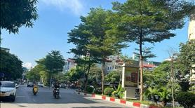 Liền kề 144m2 mặt tiền 6m, đường đôi kinh doanh - Ảnh 2