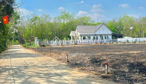 [GẤP] Bán gấp lô đất 1776m2 sổ hồng riêng thổ cư 200TR Gần QL13 Bình Phước sát Trường Chợ và KCN - Ảnh 1