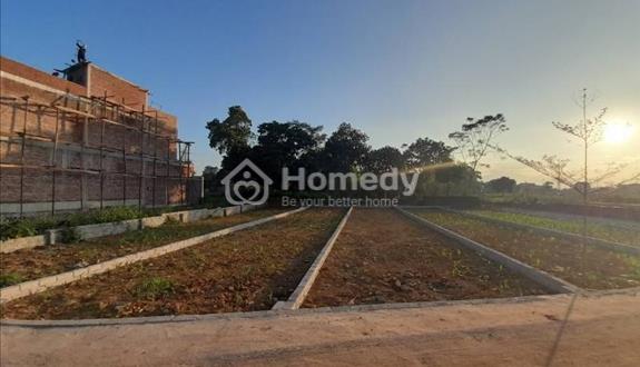 (195tr/Sổ Giá Full Sổ) 4 Lô Thổ Cư (20x55=1100m2) Shr, Đường 18m, Ngay Thị Xã, Dân Đông - Ảnh 1