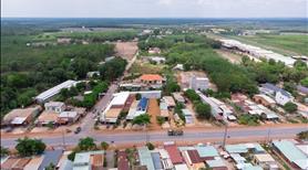 Bán 5 sào điều (20x150=4.968M2)SHR,nở hậu 92m cách quốc lộ 200m giá 700tr,view suối,sát KCN 350ha - Ảnh 7