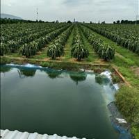 Cần bán 7000m đất phủ hồng thuộc tp phan thiết- chính chủ