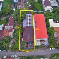 BĐS dòng tiền, 560m2, Tân Thông Hội, Củ Chi. Chủ cần bán gấp