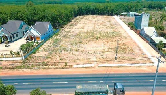 50m Mặt Tiền Nhựa 50x43=2250m2, Đt756b, Quang Minh, Chơn Thành, Bình Phước - 38 Triệu/Mn - Ảnh 1