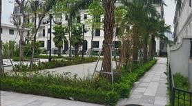 Cần bán căn LK - Shophouse Kinh Doanh KĐT bắc Cổ Nhuế - Ảnh 11