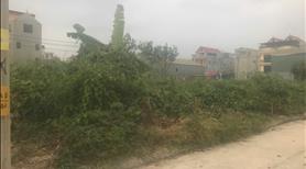Đất đấu giá xã đắc sở huyện Hoài Đức hà nộiSát trường học c1 - Ảnh 2