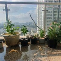 Cho thuê Căn hộ 3PN tại Chung cư Hoàng anh Riverviw Thảo điền