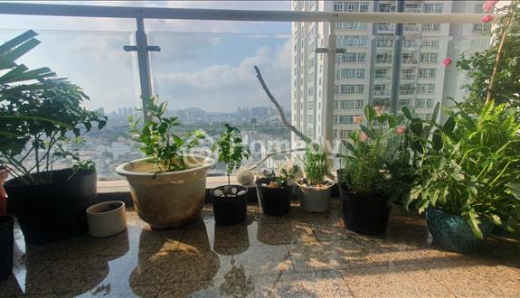 Cho thuê Căn hộ 3PN tại Chung cư Hoàng anh Riverviw Thảo điền - Ảnh 1