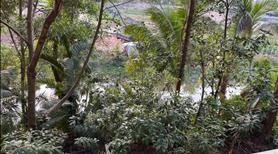 nhà liền kê khu Park River thuộc khu đô thị Ecopark  - Ảnh 8