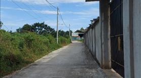 Bán đất giáp thị trấn Phước Bửu DT: 202m2 có 80m2 TC ngang 6mx36m giá chốt 890tr chỉ 1 lô duy nhất - Ảnh 3