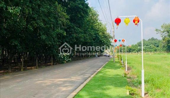 Đất nền cạnh UBND Tân Long, trường tiểu học Tân Long...  - Ảnh 1