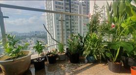 Cho thuê căn hộ Chung cư Hoàng Anh Riverview tại Thảo điền - Ảnh 6