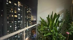 Cho thuê căn hộ Chung cư Hoàng Anh Riverview tại Thảo điền - Ảnh 2