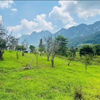 Bán Đất 700m² tại Mộc Châu – View Thung Lũng Đẹp, Phù Hợp Homestay & Coffee Check-in