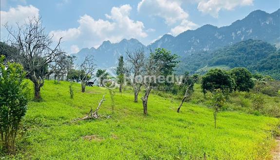 Bán Đất 700m² tại Mộc Châu – View Thung Lũng Đẹp, Phù Hợp Homestay & Coffee Check-in - Ảnh 1