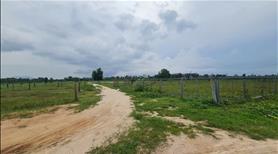 bán gấp 1000m2 có 300m thổ cư khu rừng vàng, tân bình, lagi, bình thuận. giá ngợp 2,2 tỷ - Ảnh 3