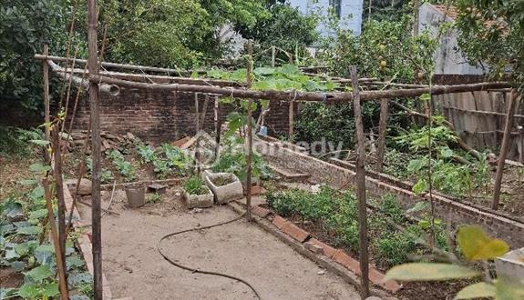 Bán đất làng Đại Cát 57m ngõ thông, oto - Ảnh 1