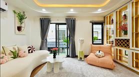 Trình làng căn nhà phố Huỳnh Mẫn Đạt quận 5 DT 37.5m2 1 trệt 2 lầu giá chỉ 3tỷ700 - Ảnh 3