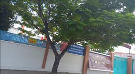 Cho thuê nguyên căn nhà diện tích lớn, kế bên trường THCS Tam Đông 1 - Ảnh 2