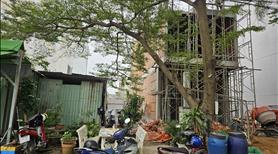 Bán đất dự án Hoàng Anh Minh Tuấn ,giá chỉ 120/m2 ,đối diện Golobal city, lô C35 ,vị trí đắc địa - Ảnh 2