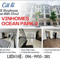 Siêu phẩm Shophouse Sao Biển giá cắt lỗ RẺ nhất Vinhomes Ocean Park 2