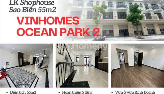 Siêu phẩm Shophouse Sao Biển giá cắt lỗ RẺ nhất Vinhomes Ocean Park 2 - Ảnh 1